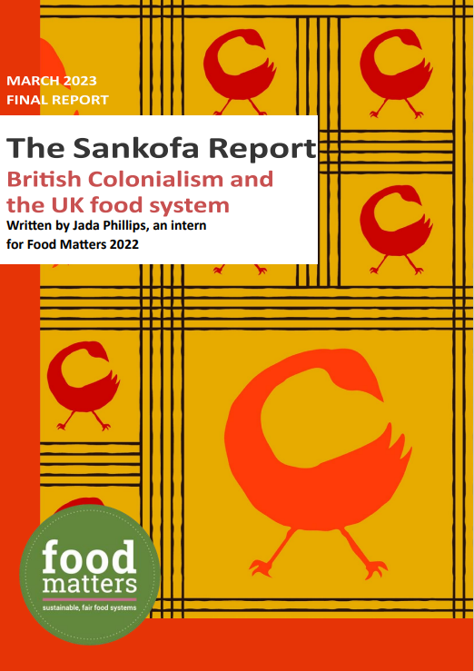 The Sankofa report by Jada Phillips